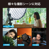 NANLITE FC-300B 撮影用ライト 撮影用ライトセット商品 スポットライト 350W 2700-6500K